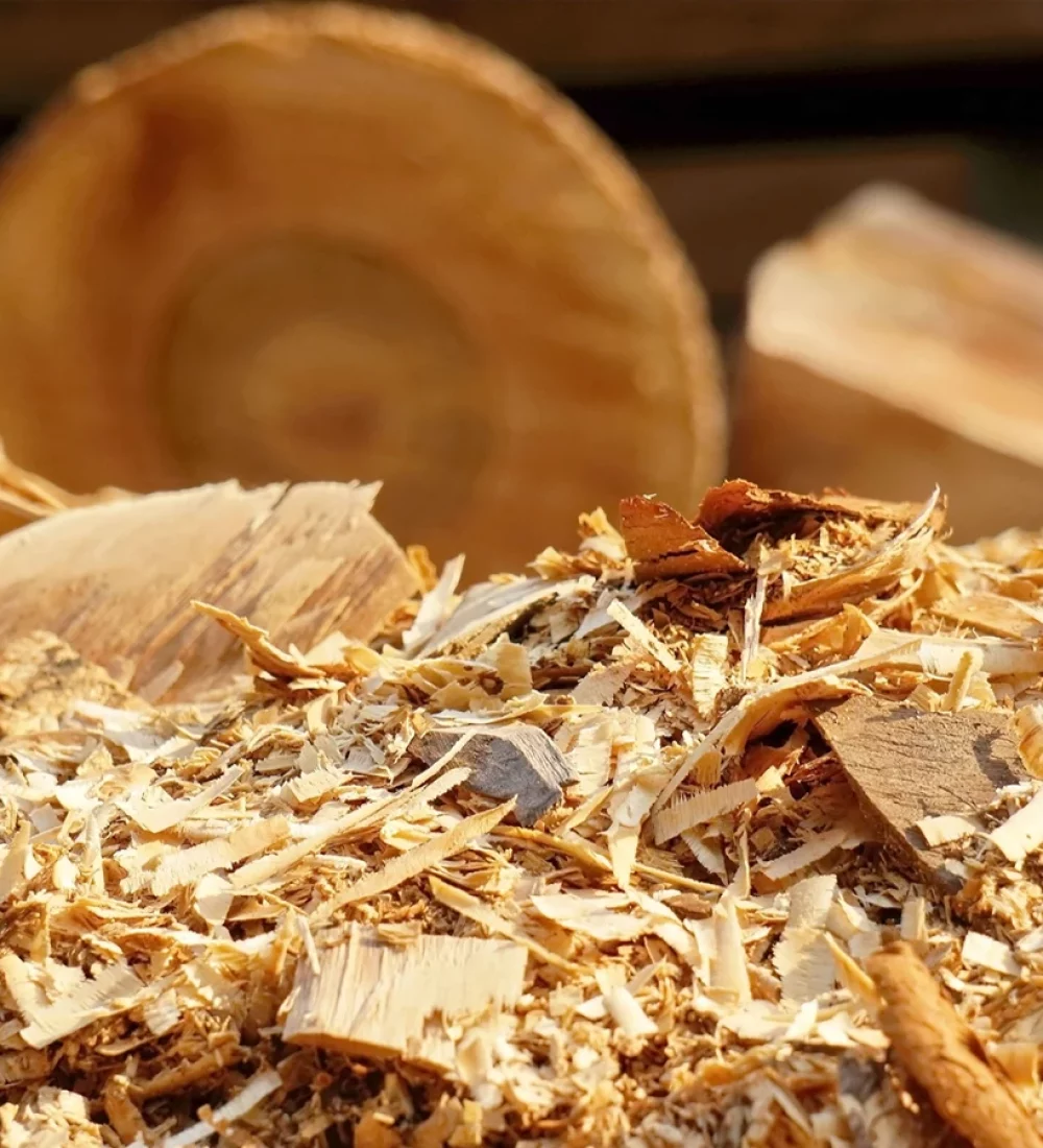 onas_bhpartners_recykling_drewna2