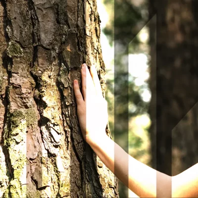 onas_bhpartners_recykling_drewna3 kopia