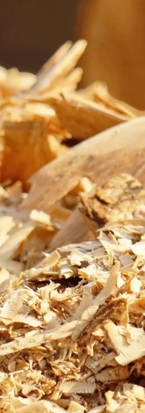 trociny recykling bhpartners